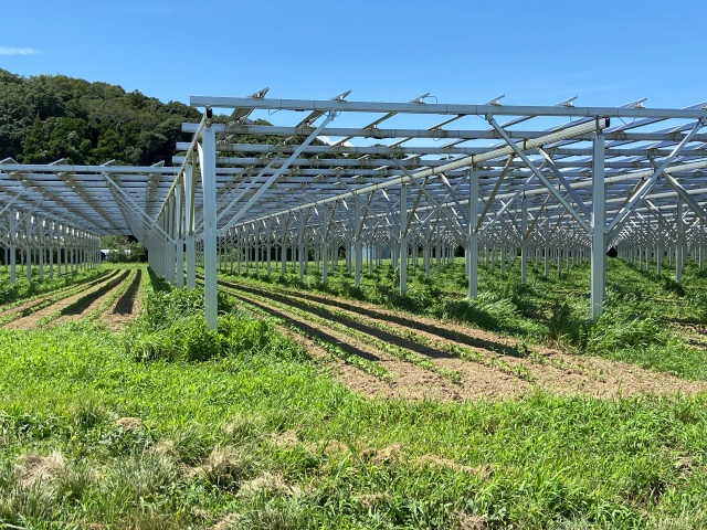 ソーラーシェアリングのパネル台